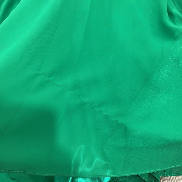 🌟Host Pick🌟Green Abby Paris Dress - Picture 5 of 9